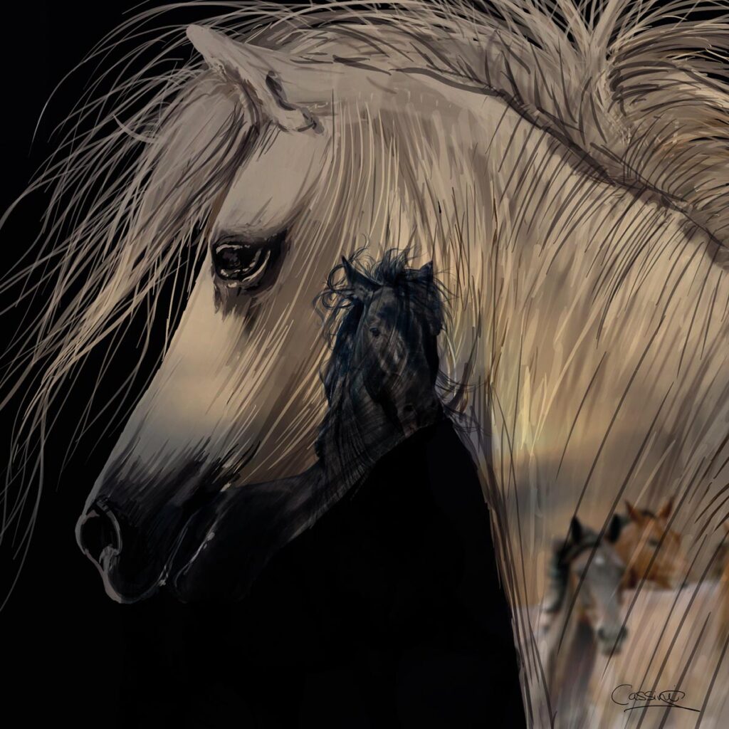 Black Horse  By Surrati